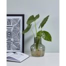 421218 EGLO LIVING SIRANANA üvegváza