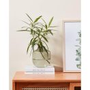 421234 EGLO LIVING SIRANANA üvegváza