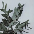 423006 EGLO LIVING RENABIE képkeret