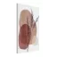 423111 EGLO LIVING JERANTUT kép