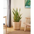 426513 EGLO LIVING NARAHA kosár