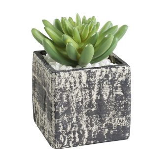 428007 EGLO LIVING CHITOSE művirág