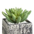 428007 EGLO LIVING CHITOSE művirág