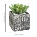 428007 EGLO LIVING CHITOSE művirág