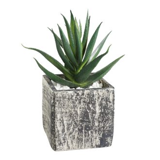 428008 EGLO LIVING CHITOSE művirág