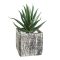 428008 EGLO LIVING CHITOSE művirág