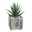 428008 EGLO LIVING CHITOSE művirág