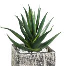 428008 EGLO LIVING CHITOSE művirág