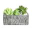 428009 EGLO LIVING CHITOSE művirág