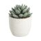 428011 EGLO LIVING CHITOSE művirág