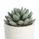 428011 EGLO LIVING CHITOSE művirág