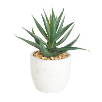 428012 EGLO LIVING CHITOSE művirág