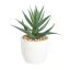 428012 EGLO LIVING CHITOSE művirág