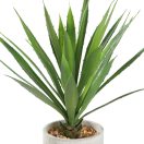 428016 EGLO LIVING TOBETSU művirág
