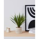 428016 EGLO LIVING TOBETSU művirág