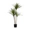 428018 EGLO LIVING YUBETSU művirág