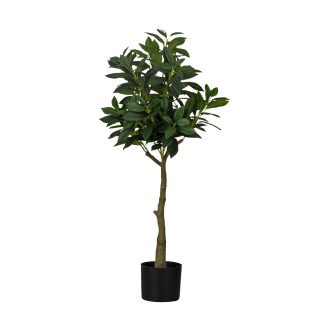 428022 EGLO LIVING YUBETSU művirág