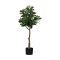 428022 EGLO LIVING YUBETSU művirág