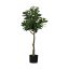 428022 EGLO LIVING YUBETSU művirág