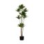 428023 EGLO LIVING YUBETSU művirág