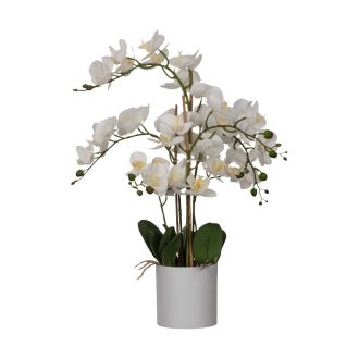 428024 EGLO LIVING HYUGA művirág