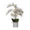 428024 EGLO LIVING HYUGA művirág