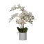 428024 EGLO LIVING HYUGA művirág