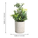 428025 EGLO LIVING CHITOSE művirág