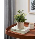 428025 EGLO LIVING CHITOSE művirág