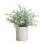 428026 EGLO LIVING CHITOSE művirág