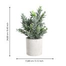 428027 EGLO LIVING CHITOSE művirág