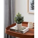 428027 EGLO LIVING CHITOSE művirág