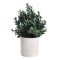 428028 EGLO LIVING CHITOSE művirág