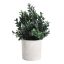 428028 EGLO LIVING CHITOSE művirág
