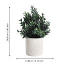 428028 EGLO LIVING CHITOSE művirág