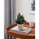 428028 EGLO LIVING CHITOSE művirág