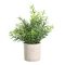 428029 EGLO LIVING CHITOSE művirág