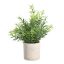 428029 EGLO LIVING CHITOSE művirág