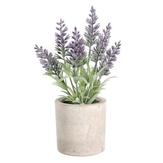 428031 EGLO LIVING CHITOSE művirág