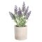 428031 EGLO LIVING CHITOSE művirág