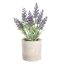 428031 EGLO LIVING CHITOSE művirág