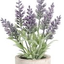 428031 EGLO LIVING CHITOSE művirág