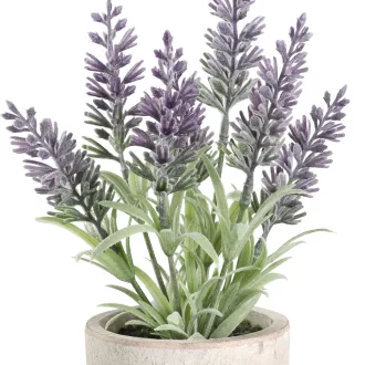 428031 EGLO LIVING CHITOSE művirág