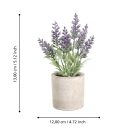 428031 EGLO LIVING CHITOSE művirág