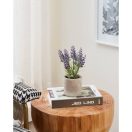 428031 EGLO LIVING CHITOSE művirág