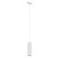 901711 EGLO TPLUS PENDANT 2700K-6500K LED függeszték TRACK PLUS sínes lámparendszerhez