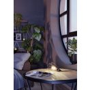 94192 EGLO TARBES asztali lámpa