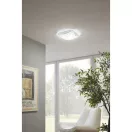 95578 EGLO NERINI LED fali mennyezeti lámpa